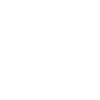 developer
